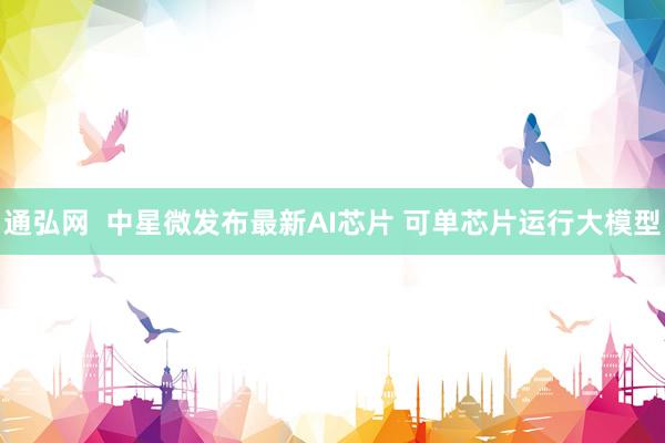 通弘网  中星微发布最新AI芯片 可单芯片运行大模型