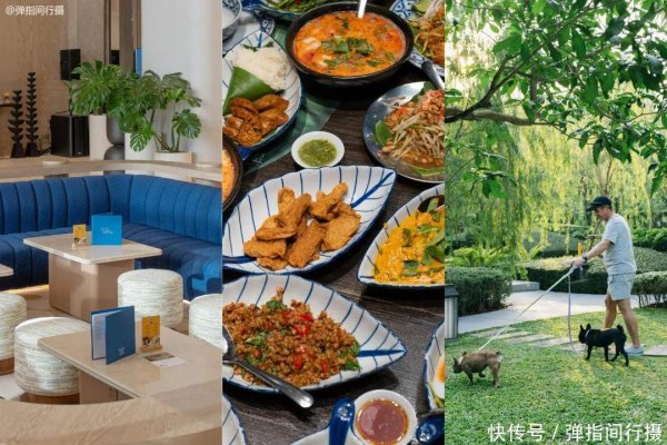 乐融配 打卡亚洲疗愈之都！高空泳池揽城景，创意料理绽舌尖，黑科技养生