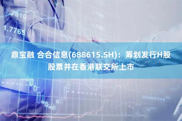 鼎宝融 合合信息(688615.SH)：筹划发行H股股票并在香港联交所上市
