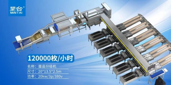 658金融网 200万羽！江西德安晟农农业科技蛋鸡养殖项目加快推进