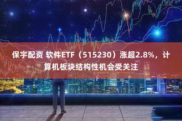 保宇配资 软件ETF（515230）涨超2.8%，计算机板块结构性机会受关注