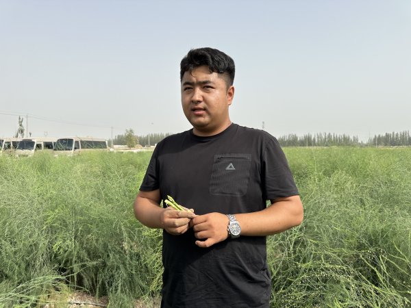 配资快线 农文旅商联动援疆，这些变化正在发生