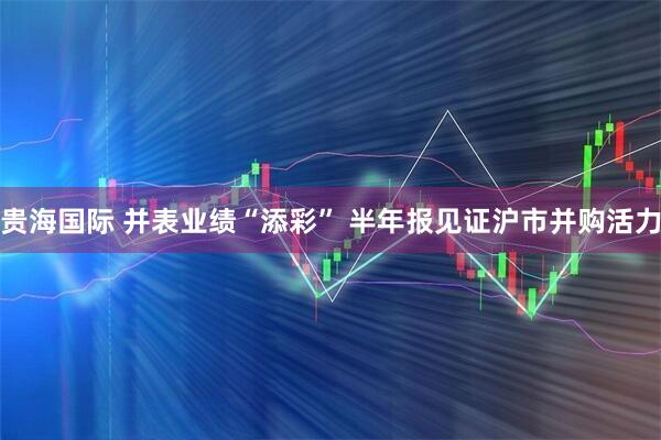 贵海国际 并表业绩“添彩” 半年报见证沪市并购活力